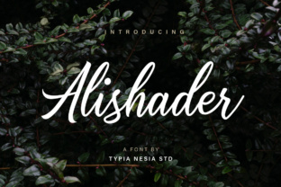 Alishader: A Modern Calligraphy Typeface for Web Design