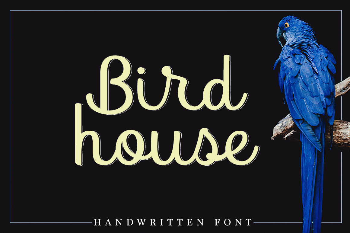 Bird House: A Script Font That Earns Its Place in Your Brand Toolkit