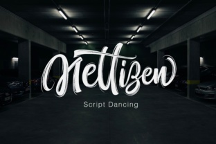 Nettizen: A Designer’s Review for Real Projects
